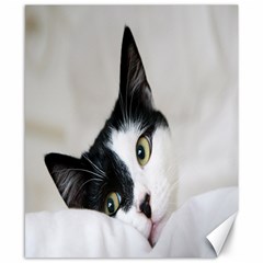 Cat Face Cute Black White Animals Canvas 8  X 10 