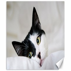 Cat Face Cute Black White Animals Canvas 20  X 24  