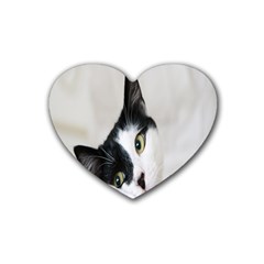 Cat Face Cute Black White Animals Heart Coaster (4 Pack)  by Mariart