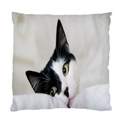 Cat Face Cute Black White Animals Standard Cushion Case (one Side)