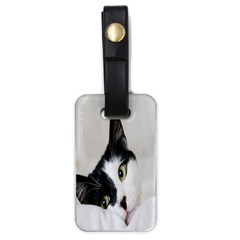 Cat Face Cute Black White Animals Luggage Tags (one Side) 