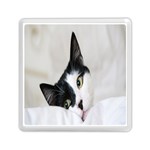 Cat Face Cute Black White Animals Memory Card Reader (Square)  Front