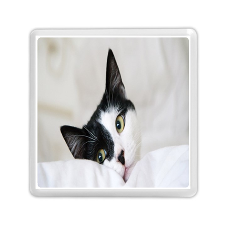 Cat Face Cute Black White Animals Memory Card Reader (Square) 