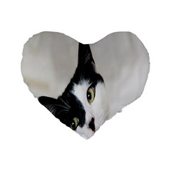 Cat Face Cute Black White Animals Standard 16  Premium Heart Shape Cushions