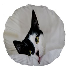 Cat Face Cute Black White Animals Large 18  Premium Flano Round Cushions by Mariart