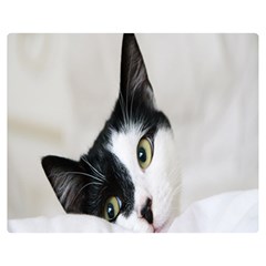 Cat Face Cute Black White Animals Double Sided Flano Blanket (medium)  by Mariart