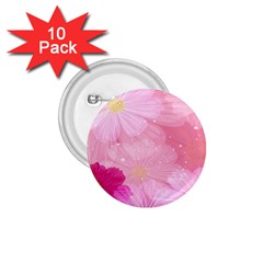 Cosmos Flower Floral Sunflower Star Pink Frame 1 75  Buttons (10 Pack) by Mariart