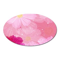 Cosmos Flower Floral Sunflower Star Pink Frame Oval Magnet by Mariart