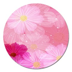 Cosmos Flower Floral Sunflower Star Pink Frame Magnet 5  (round) by Mariart