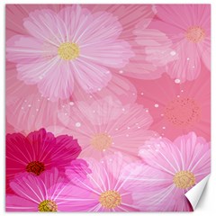 Cosmos Flower Floral Sunflower Star Pink Frame Canvas 12  X 12   by Mariart