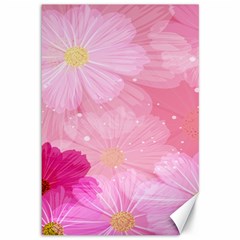 Cosmos Flower Floral Sunflower Star Pink Frame Canvas 12  X 18   by Mariart