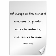 Inspirational Quote (arthur Young) Canvas 20  X 30   by DeneWestUK