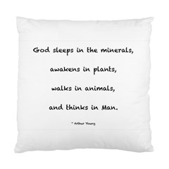 Inspirational Quote (arthur Young) Standard Cushion Case (one Side) by DeneWestUK