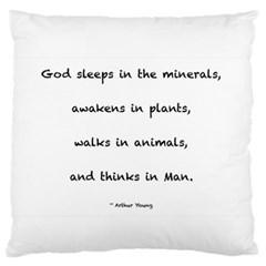 Inspirational Quote (arthur Young) Standard Flano Cushion Case (one Side) by DeneWestUK