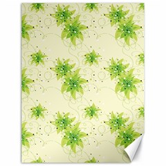 Leaf Green Star Beauty Canvas 18  x 24  