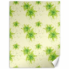 Leaf Green Star Beauty Canvas 36  x 48  