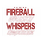 Fireball Whiskey Humor  Double Sided Flano Blanket (Mini)  35 x27  Blanket Front