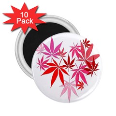 Marijuana Cannabis Rainbow Pink Love Heart 2 25  Magnets (10 Pack)  by Mariart