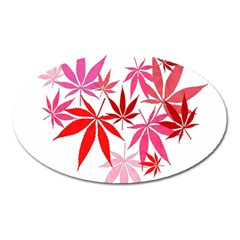 Marijuana Cannabis Rainbow Pink Love Heart Oval Magnet