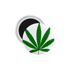 Marijuana Weed Drugs Neon Cannabis Green Leaf Sign 1 75  Magnets by Mariart