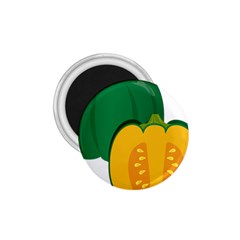 Pumpkin Peppers Green Yellow 1 75  Magnets