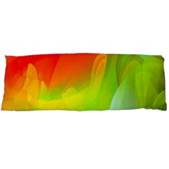 Red Yellow Green Blue Rainbow Color Mix Body Pillow Case (dakimakura)