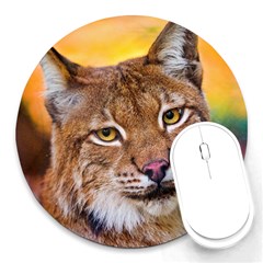 Tiger Beetle Lion Tiger Animals Round Mousepads by Mariart