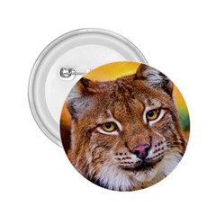 Tiger Beetle Lion Tiger Animals 2 25  Buttons by Mariart