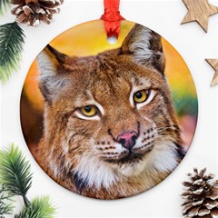 Tiger Beetle Lion Tiger Animals Ornament (round) by Mariart