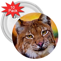 Tiger Beetle Lion Tiger Animals 3  Buttons (10 Pack) 