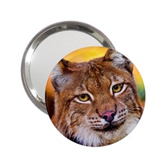 Tiger Beetle Lion Tiger Animals 2 25  Handbag Mirrors