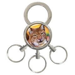 Tiger Beetle Lion Tiger Animals 3-ring Key Chains