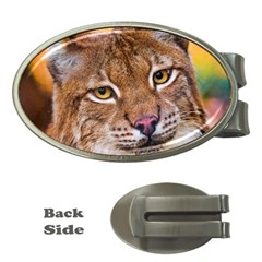 Tiger Beetle Lion Tiger Animals Money Clips (oval)  by Mariart