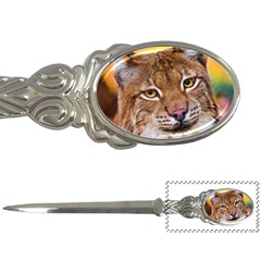 Tiger Beetle Lion Tiger Animals Letter Openers