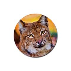 Tiger Beetle Lion Tiger Animals Rubber Round Coaster (4 Pack) 