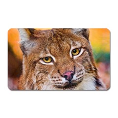 Tiger Beetle Lion Tiger Animals Magnet (rectangular)