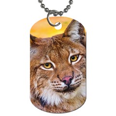 Tiger Beetle Lion Tiger Animals Dog Tag (two Sides) by Mariart