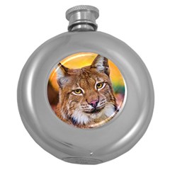 Tiger Beetle Lion Tiger Animals Round Hip Flask (5 Oz) by Mariart