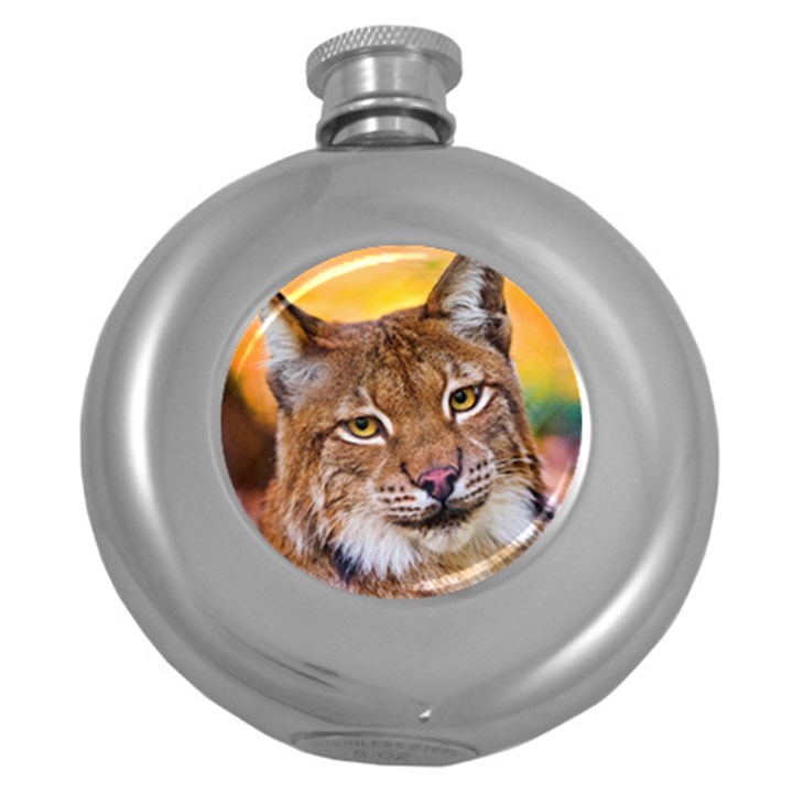 Tiger Beetle Lion Tiger Animals Round Hip Flask (5 oz)