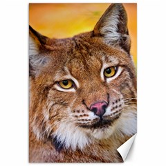 Tiger Beetle Lion Tiger Animals Canvas 20  X 30   by Mariart