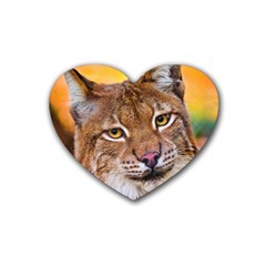 Tiger Beetle Lion Tiger Animals Rubber Coaster (heart) 