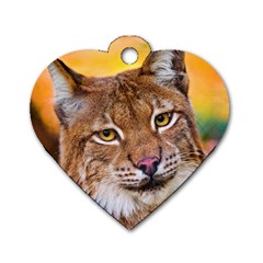 Tiger Beetle Lion Tiger Animals Dog Tag Heart (one Side) by Mariart