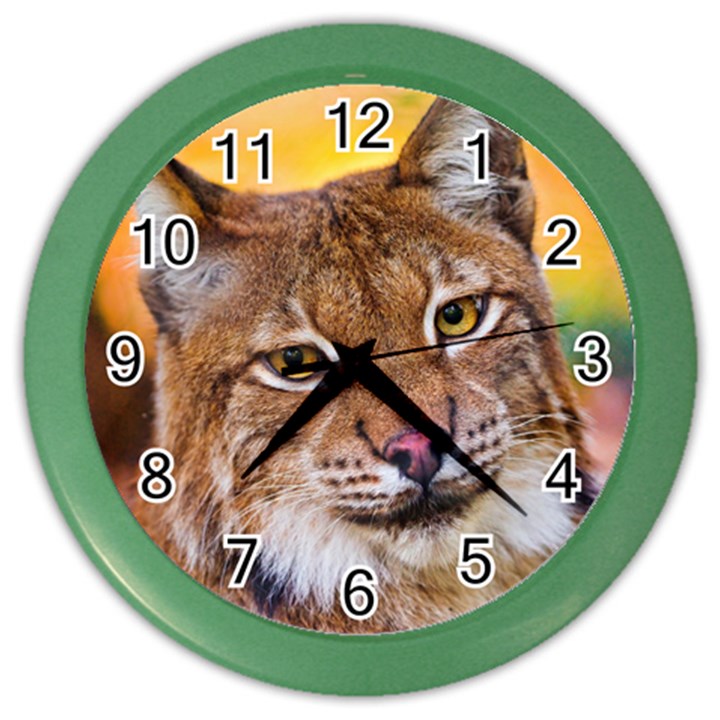 Tiger Beetle Lion Tiger Animals Color Wall Clocks