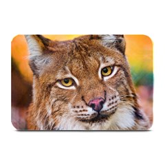 Tiger Beetle Lion Tiger Animals Plate Mats by Mariart