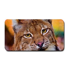 Tiger Beetle Lion Tiger Animals Medium Bar Mats