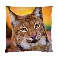 Tiger Beetle Lion Tiger Animals Standard Cushion Case (one Side)