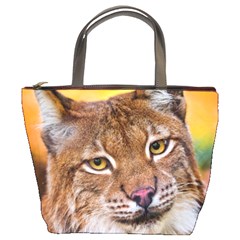 Tiger Beetle Lion Tiger Animals Bucket Bags by Mariart