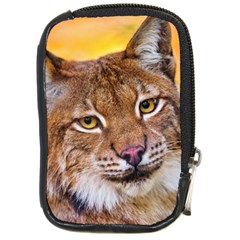 Tiger Beetle Lion Tiger Animals Compact Camera Cases