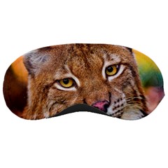 Tiger Beetle Lion Tiger Animals Sleeping Masks