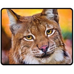 Tiger Beetle Lion Tiger Animals Fleece Blanket (medium)  by Mariart